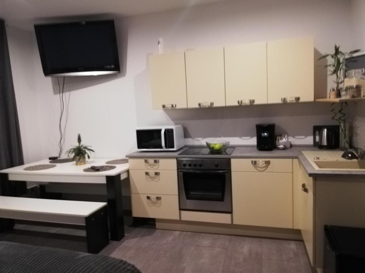 Ferienwohnung "Greizer Strasse 26" 莱辛巴赫伊姆沃戈蒂 外观 照片
